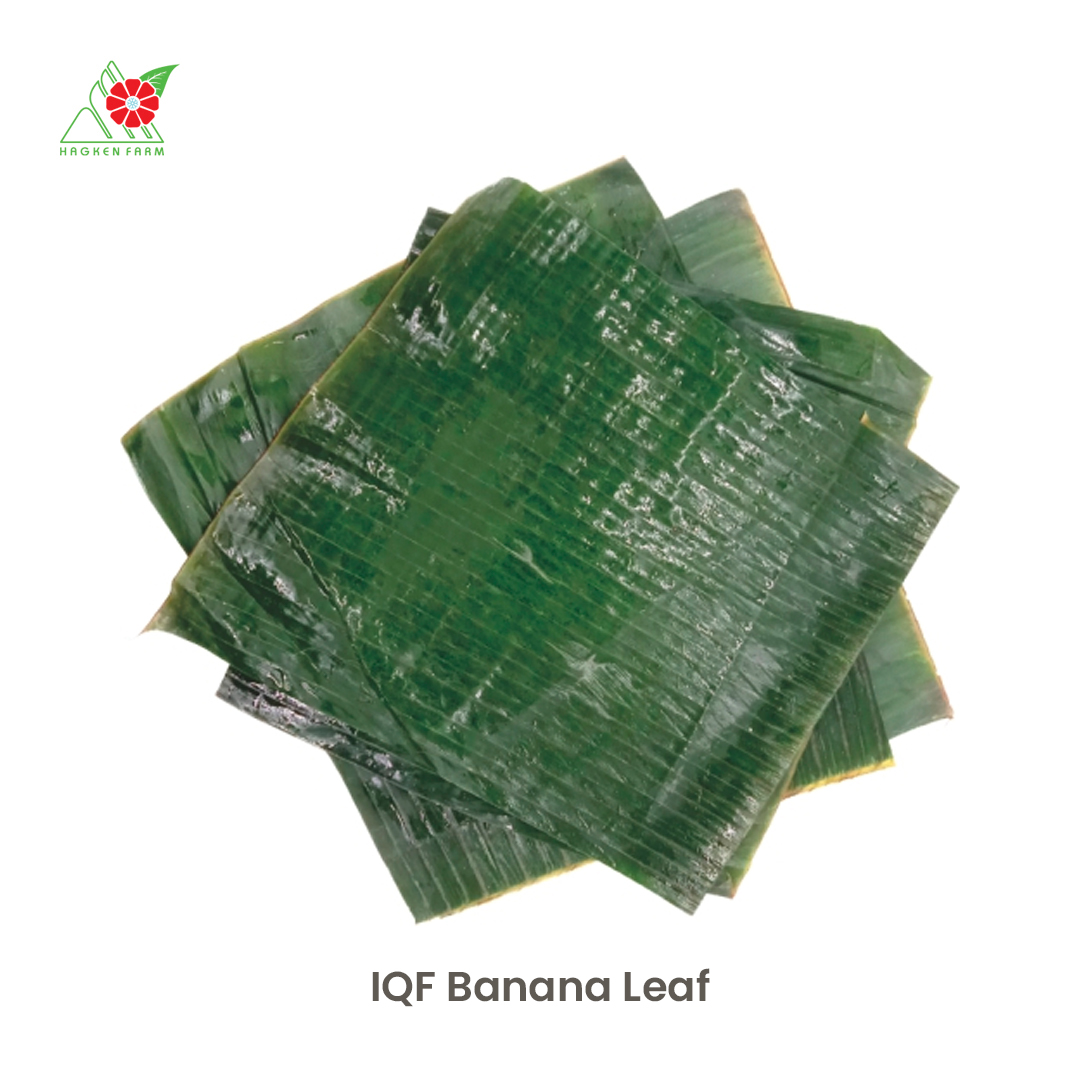 IQF Banana Leaves